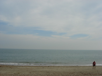 Folkestone_the_warren
