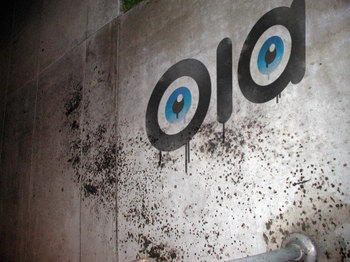 Oia_eyes_tag