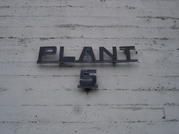 Plant5