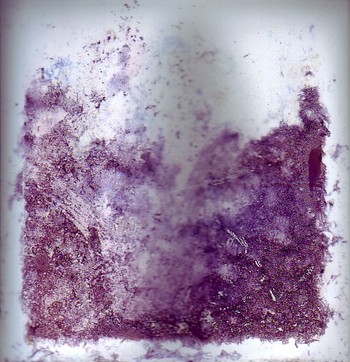 Purplemess