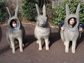Rabbit_1