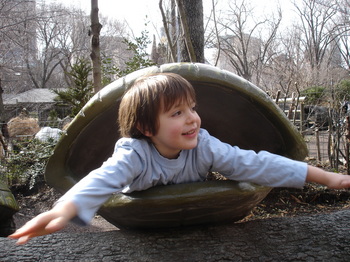 Turtle_1